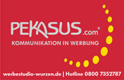 PEKASUS.com